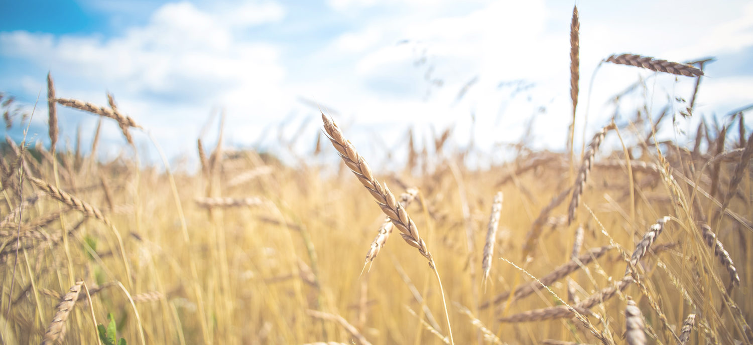 Harvest Community Church
